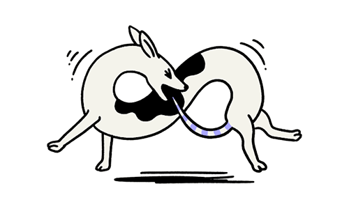 Superfast broadband from Airband community internet