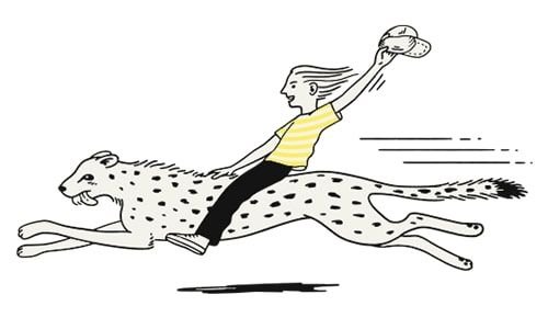 An illustration of a person riding a cheetah