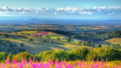 Quantock Hills, Somerset