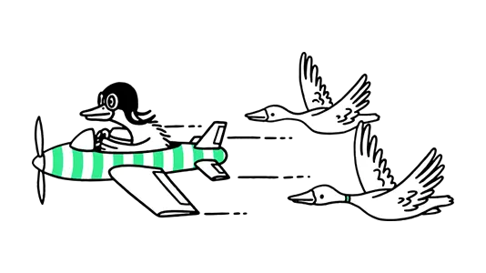 IconBox-RoI-Ultrafast