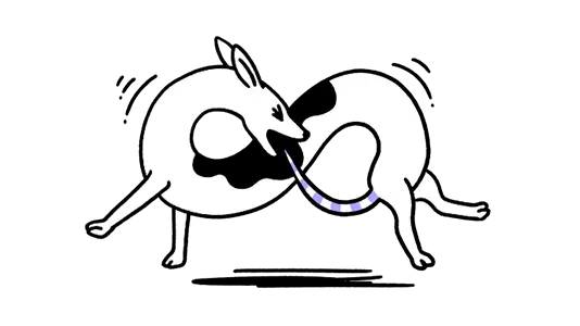 conBox-RoI-Unlimited