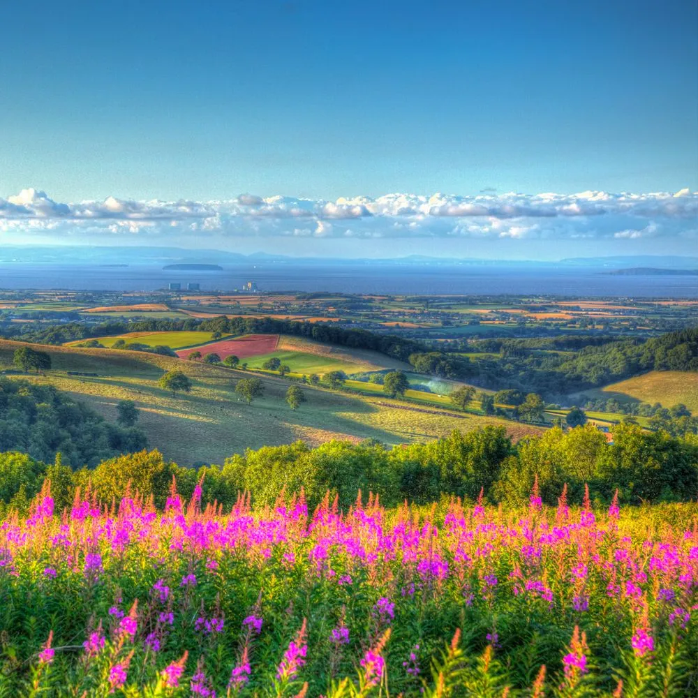 Quantock-Hills